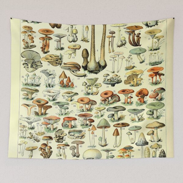 Aperçu de l'œuvre Champignons Adolphe Millot créée et vendue par Gilmour-Prints.