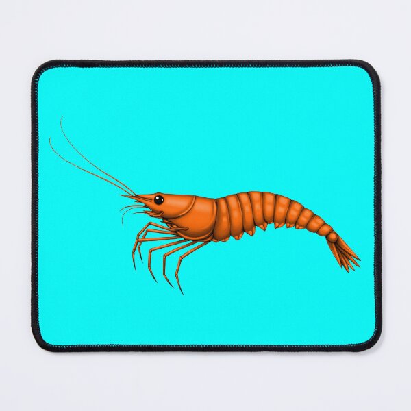 Item preview, SHRIMP (#00FFFF) designed and sold by Marlon Oseguera.
