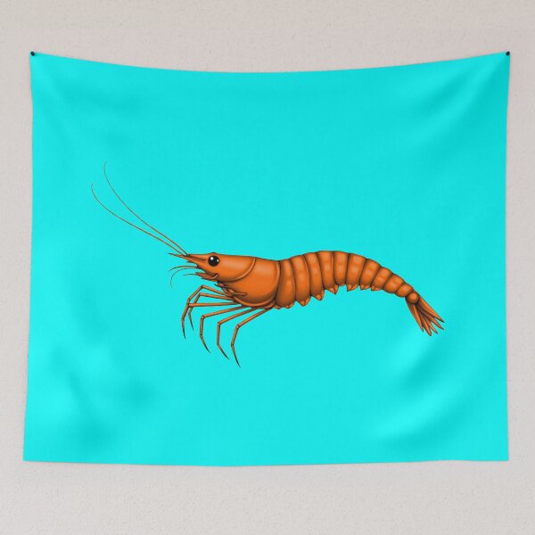 Item preview, SHRIMP (#00FFFF) designed and sold by Marlon Oseguera.