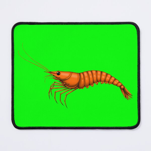 Item preview, SHRIMP (#00FF00) designed and sold by Marlon Oseguera.