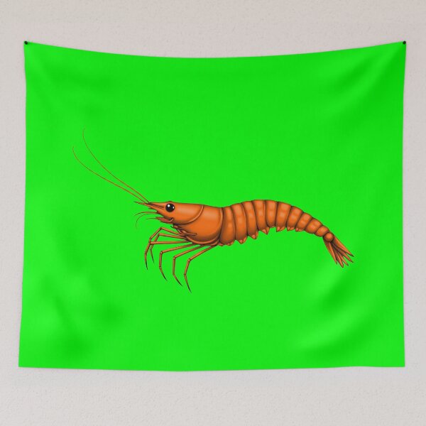 Item preview, SHRIMP (#00FF00) designed and sold by Marlon Oseguera.