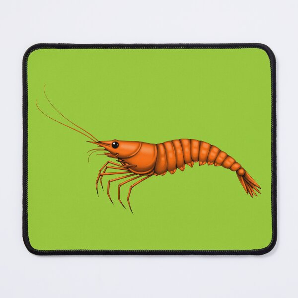 Item preview, SHRIMP (#99CC33) designed and sold by Marlon Oseguera.