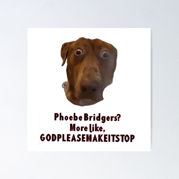 Artikel-Vorschau von Durchschnittlicher Phoebe Bridgers-Fan, designt und verkauft von moondawgie3.