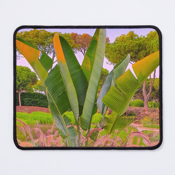 Item preview, Quinta do lago gardens. Algarve designed and sold by Tereza Pilar  Art.