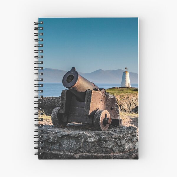Item preview, Rusting Cannon designed and sold by Raymond Kerr.