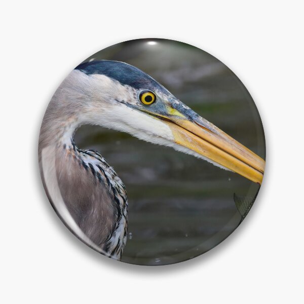 Item preview, Great Blue Heron and Its Catch at Furman University designed and sold by CarolRMontoya.