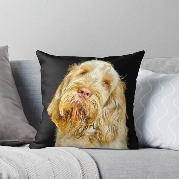 Artikel-Vorschau von Wunderliches weißes und orangefarbenes italienisches Spinone-Porträt – Sanfter Blick von heidiannemorris, designt und verkauft von FOLK ART FUSION by heidiannemorris.