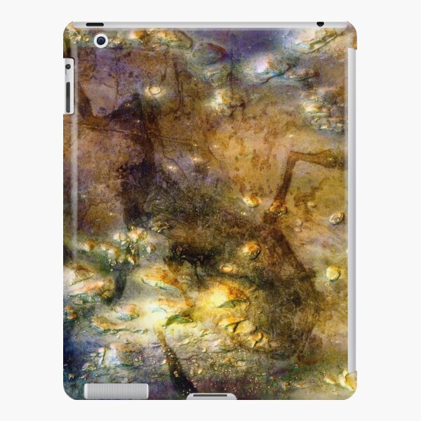 Martian Fossils 3 iPad Snap Case