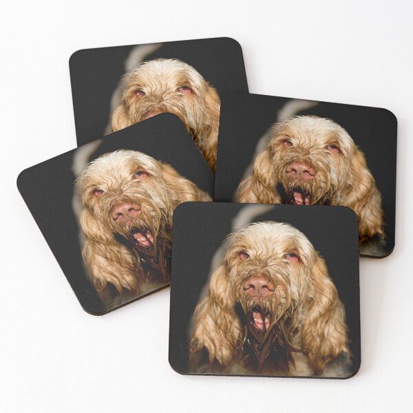 Item preview, Muddy Fun – Orange and White Italian Spinone Portrait by heidiannemorris designed and sold by FOLK ART FUSION by heidiannemorris.