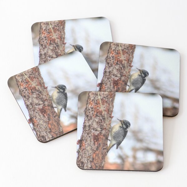 Item preview, Woodpecker designed and sold by zumi.