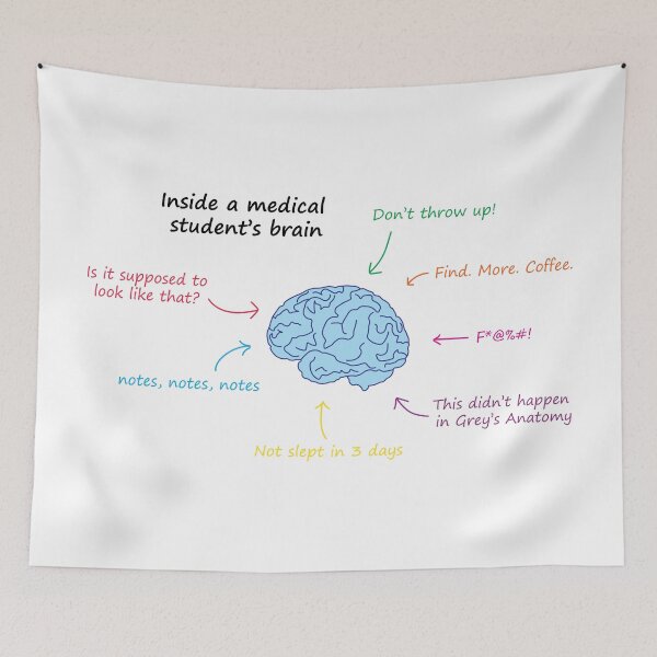 Item preview, Inside a medical student’s brain designed and sold by TreeKangaroo.