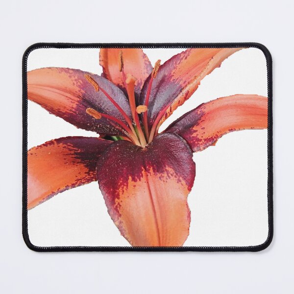 Item preview, orange day lily designed and sold by Lizzilzil.