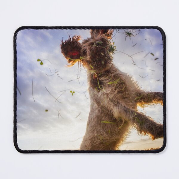 Item preview, Leaping for Clover – Playful Brown Roan Italian Spinone by heidiannemorris designed and sold by FOLK ART FUSION.