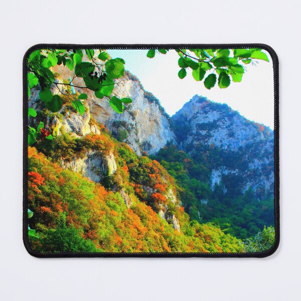 Item preview, Scenery from Furlo Pass with tree branch designed and sold by Kristina Drozd.