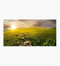 panorama of the hillside meadow at sunset Photographic Print