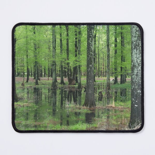 Item preview, Green Beautiful Forrest after the Rain designed and sold by Linda La Guardia.