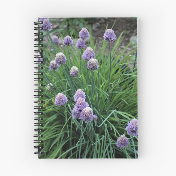 Item preview, Onion chive....... designed and sold by DonnaMoore.