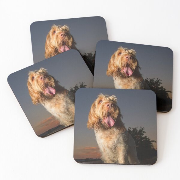 Item preview, Golden Hour Spinone – White and Orange Beauty at Dusk by heidiannemorris designed and sold by FOLK ART FUSION by heidiannemorris.