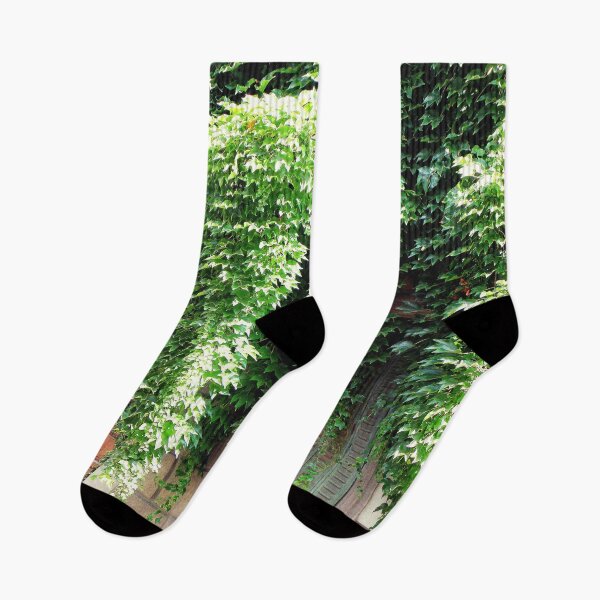 Item preview, Mysterious Wall of Green – Nature Takes Over the City                                                        The House Is Overgrown with Ivy designed and sold by branaghbel.