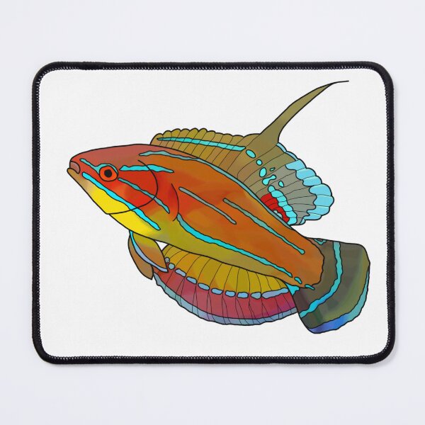 Item preview, McCosker's flasher wrasse designed and sold by Kraken Me Up!.