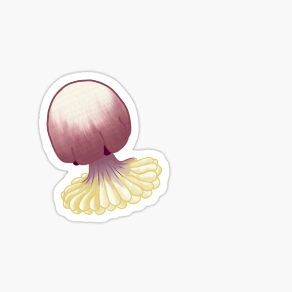 Item preview, cannonball jellyfish designed and sold by Kraken Me Up!.