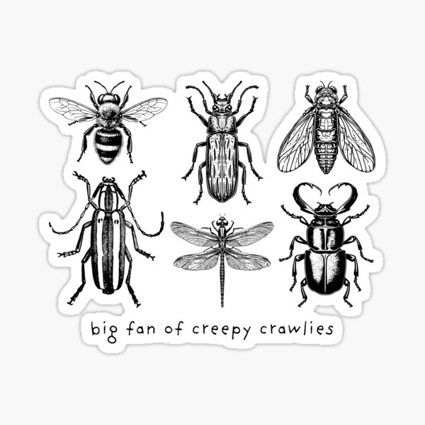 Vista previa del artículo con la obra «big fan of creepy crawlies sketch art», diseñado y vendido por MulberryMarket.