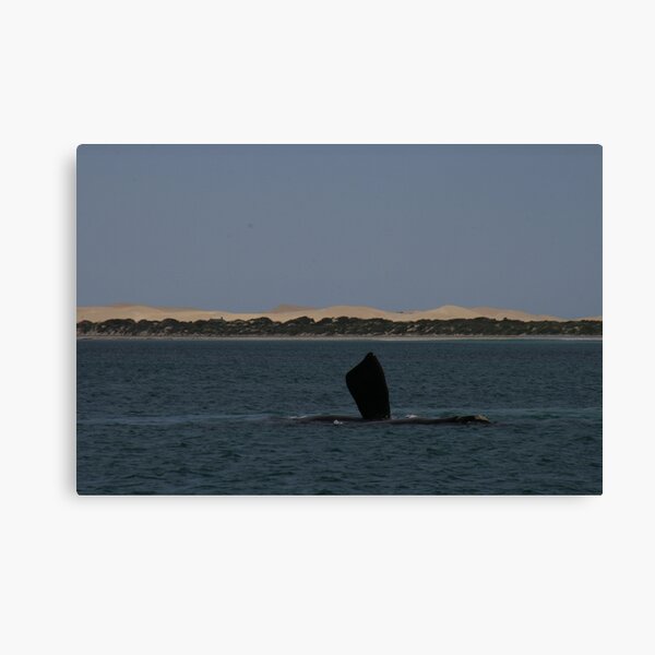 Item preview, Goodbye, whales Fowler's Bay, South Australia. designed and sold by elphonline.