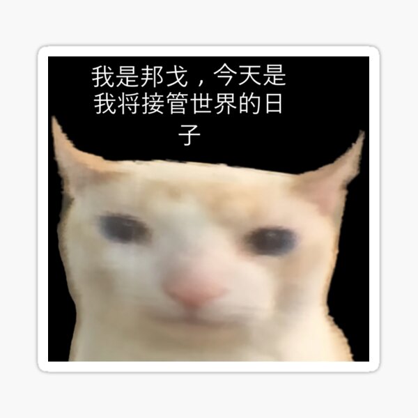 Artikel-Vorschau von Katze mit chinesischem Text, designt und verkauft von CatDealer.