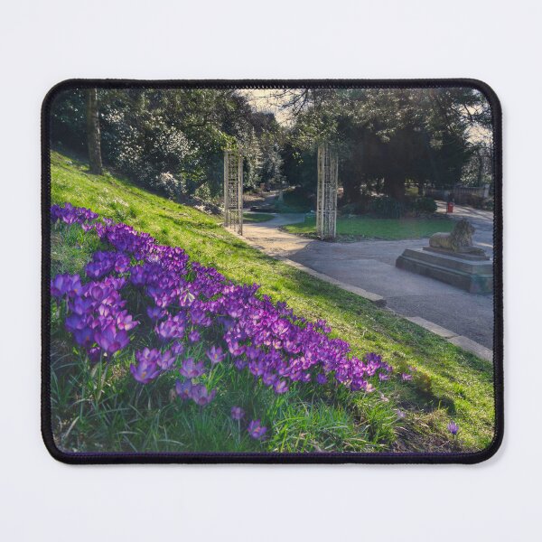 Item preview, Barnsley Locke Park in Spring designed and sold by Alisonchambers2.