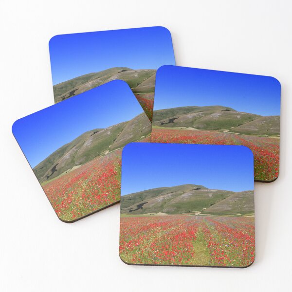 Item preview, Castelluccio flovering 2024 designed and sold by annalisa56.