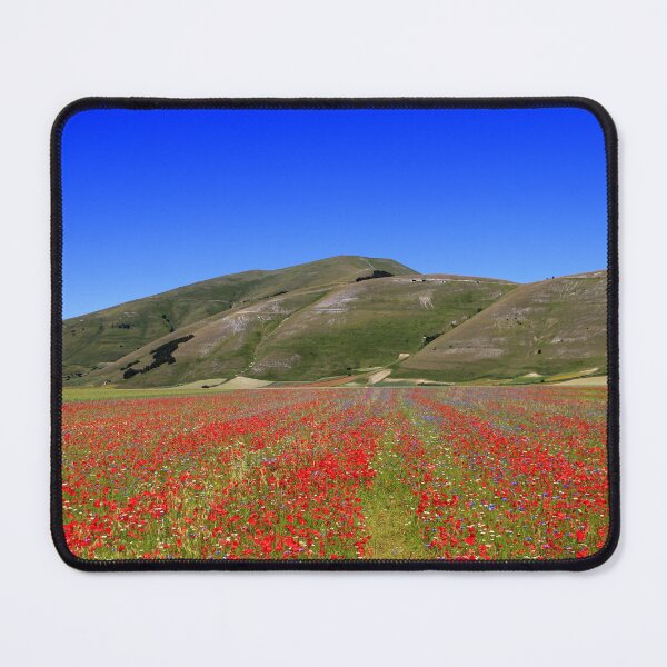 Item preview, Castelluccio flovering 2024 designed and sold by annalisa56.