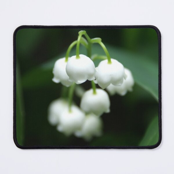 Item preview, white lilies of the valley designed and sold by SVETLANA ZOLOTAREVA.