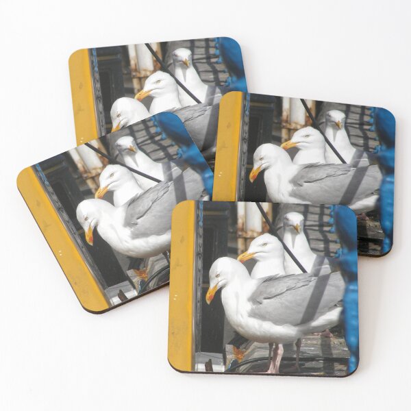 Item preview, Three Seagulls in Harbour designed and sold by jalfc46.