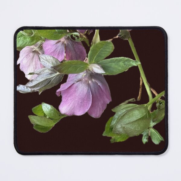 Item preview, Hellebores designed and sold by Barbara Mink.