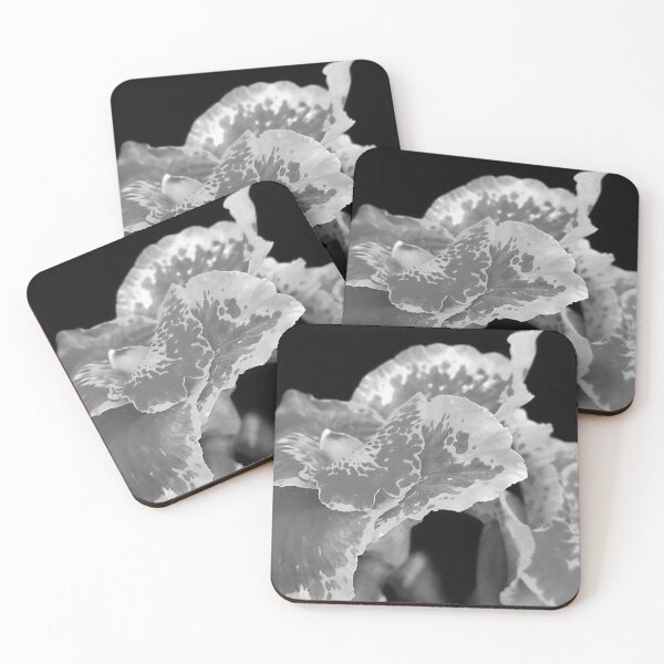 Item preview, Black and White Flower Closeup designed and sold by NickDedidis.