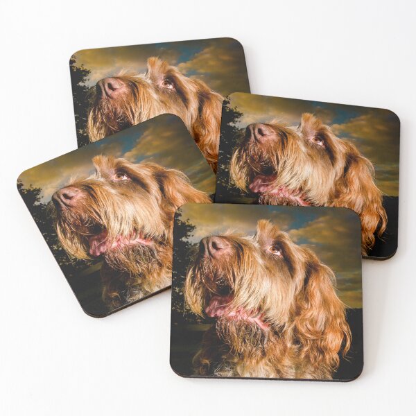 Item preview, Star Light, Star Bright Spinone – Brown Roan Wonder by heidiannemorris designed and sold by FOLK ART FUSION by heidiannemorris.