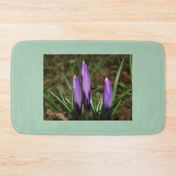 Item preview, PURPLE CROCUS FLOWERS A WELCOME SIGN OF SPRING designed and sold by Richard Brookes Photography.