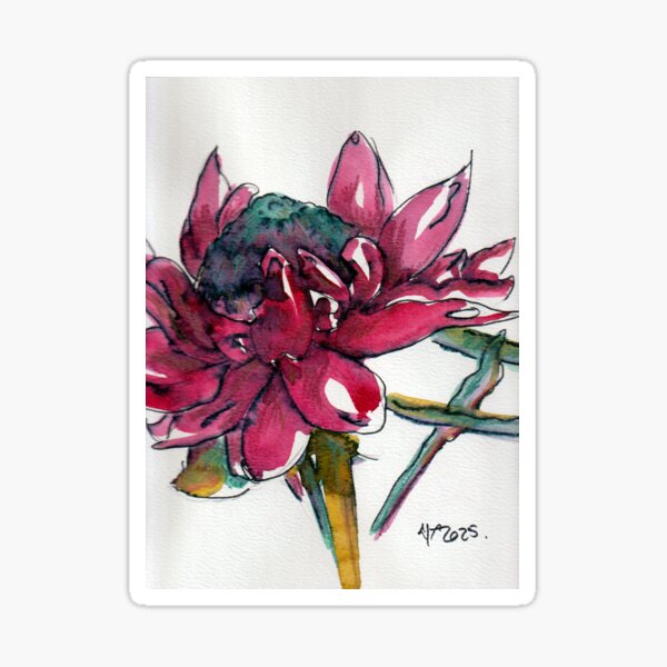 Item preview, Australian Waratah Pink & Red  designed and sold by Geoffrey & Michelle  Thomson.