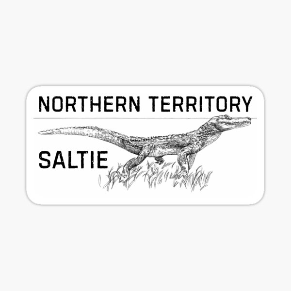 Vista previa del artículo con la obra «NT Saltie 3», diseñado y vendido por Top End Stickers.