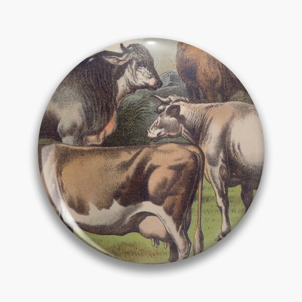 Item preview, Zebu Cow vintage illustration of Cattle  designed and sold by Vintage Designs +.