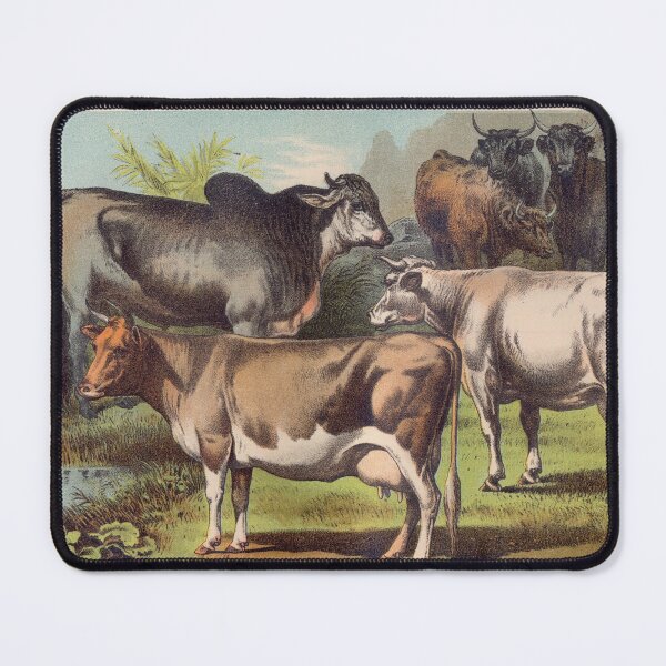 Item preview, Zebu Cow vintage illustration of Cattle designed and sold by Vintage Designs +.