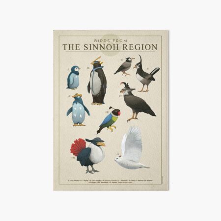 Item preview, Birds from Sinnoh designed and sold by Julio Lacerda.