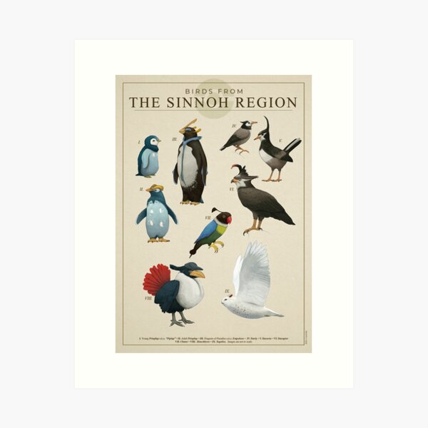 Item preview, Birds from Sinnoh designed and sold by Julio Lacerda.