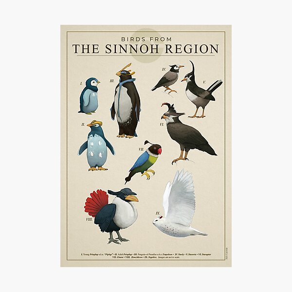 Item preview, Birds from Sinnoh designed and sold by Julio Lacerda.