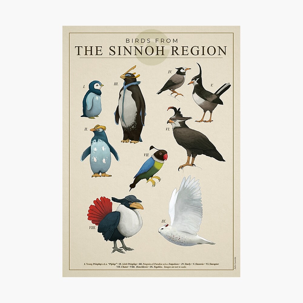 Birds from Sinnoh Poster