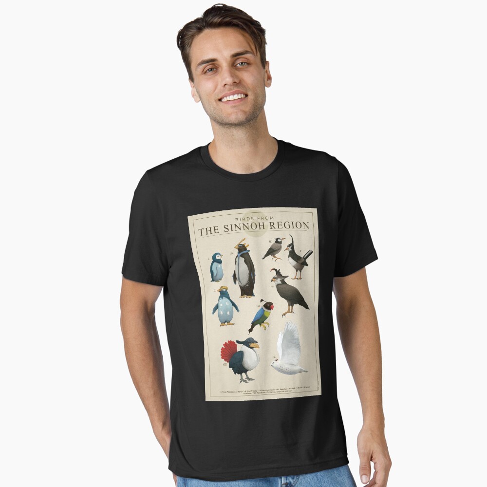 Birds from Sinnoh Poster