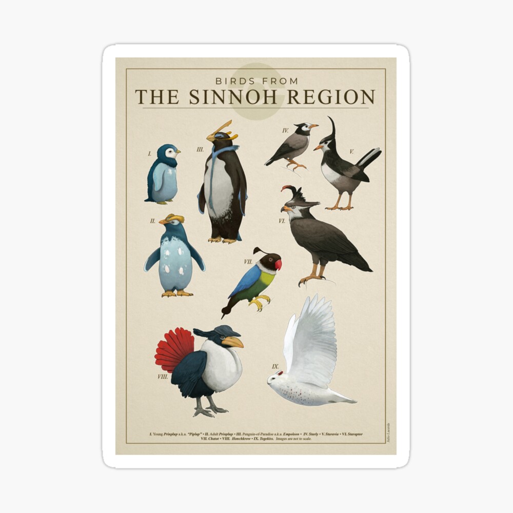 Birds from Sinnoh Poster
