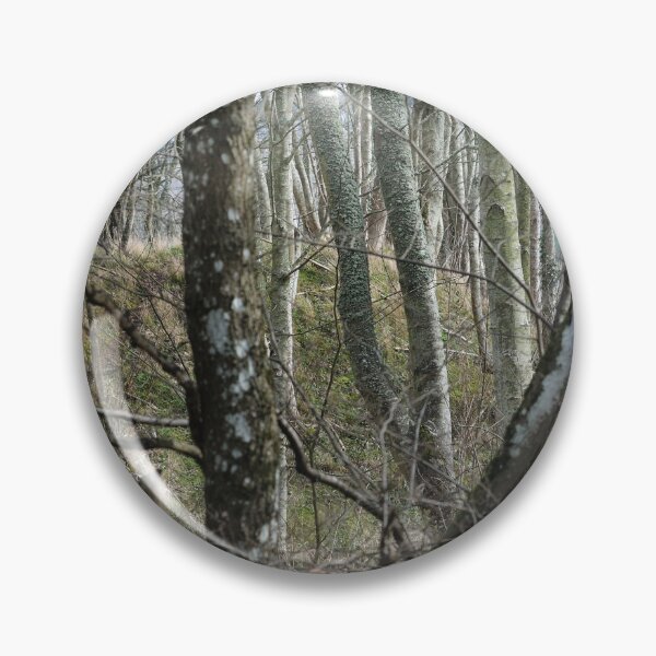 Item preview, Looking through the woods, Scottish Borders designed and sold by Richard Flint.