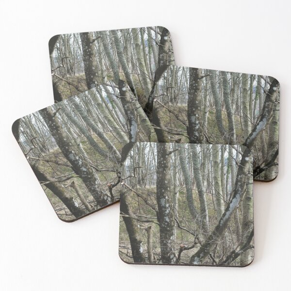Item preview, Looking through the woods, Scottish Borders designed and sold by Richard Flint.