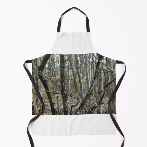 Item preview, Looking through the woods, Scottish Borders designed and sold by Richard Flint.
